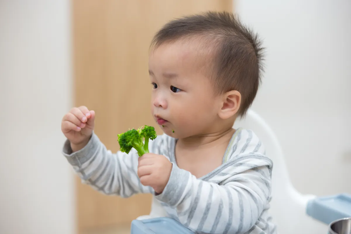 ¿Cómo empezar con el método «baby-led weaning»?