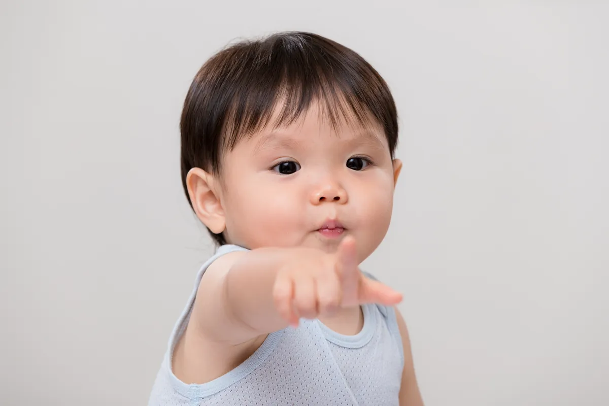 Pointing as a precursor of language