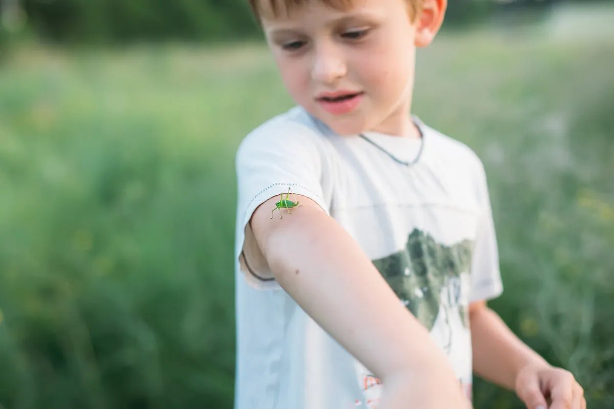 ¿Qué hacer cundo una avispa o abeja pica a mi bebé?
