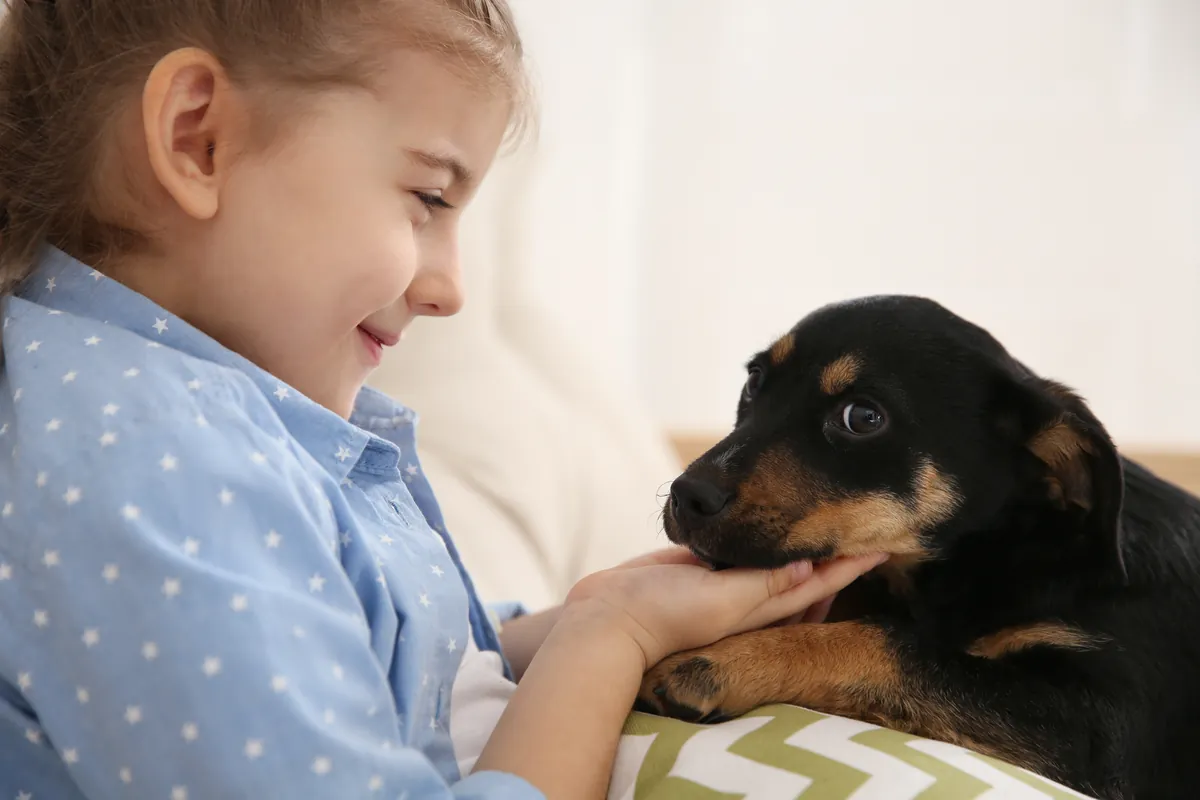 6 dicas para ensinar seu filho a cuidar dos animais