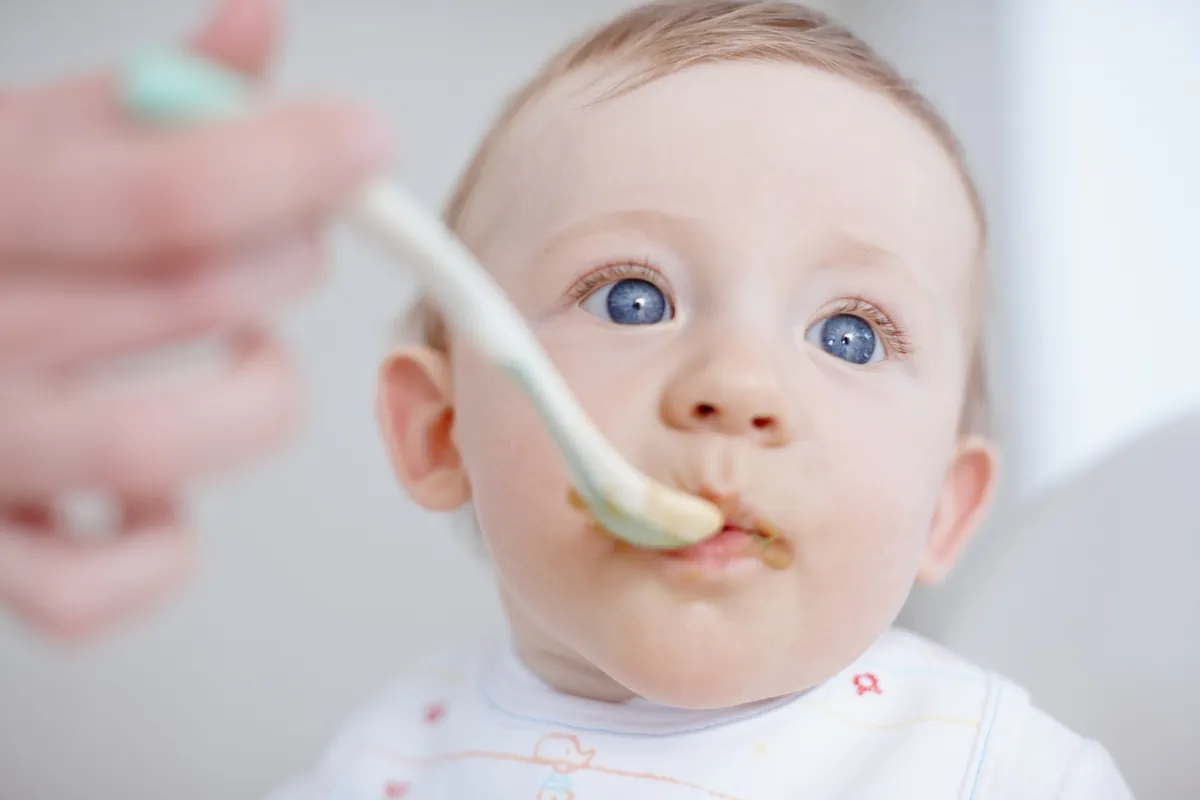 Como iniciar a alimentação complementar do meu bebê?