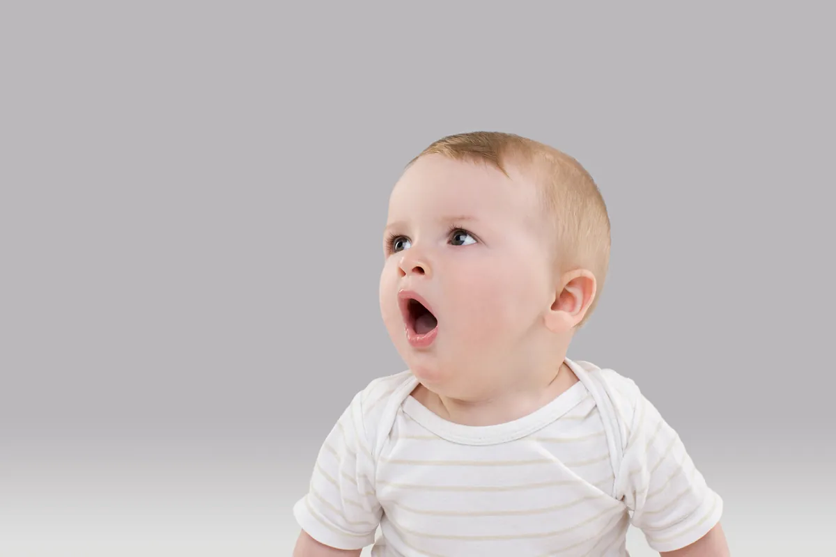 Como surgem as primeiras palavras do bebê?