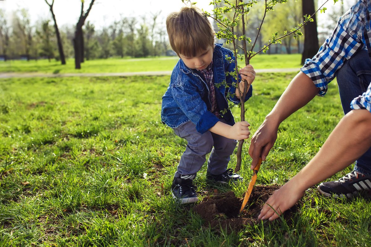 Educação ambiental para crianças: 6 atividades para estimular os cuidados com a natureza