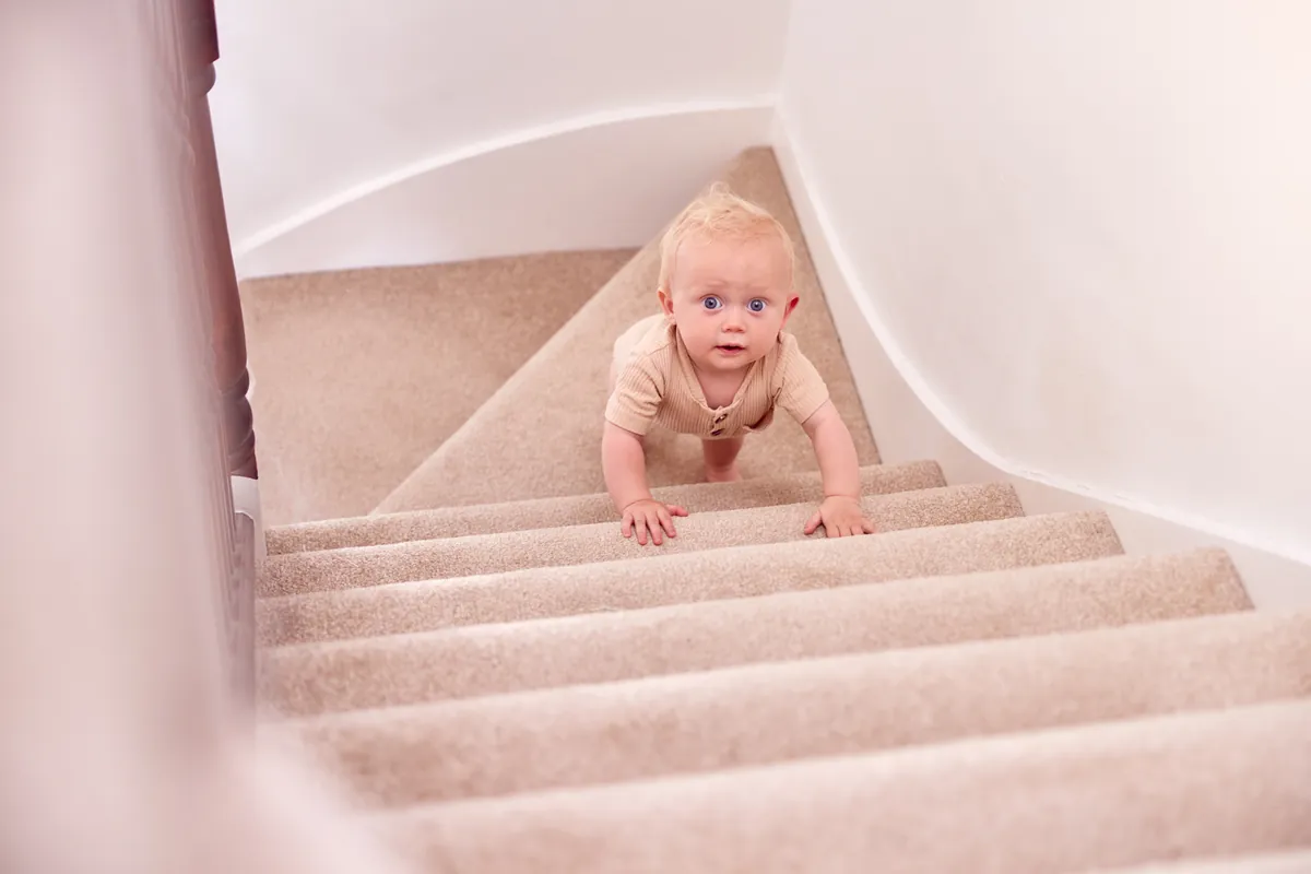 Hitos del desarrollo: Mi bebé de 12 meses