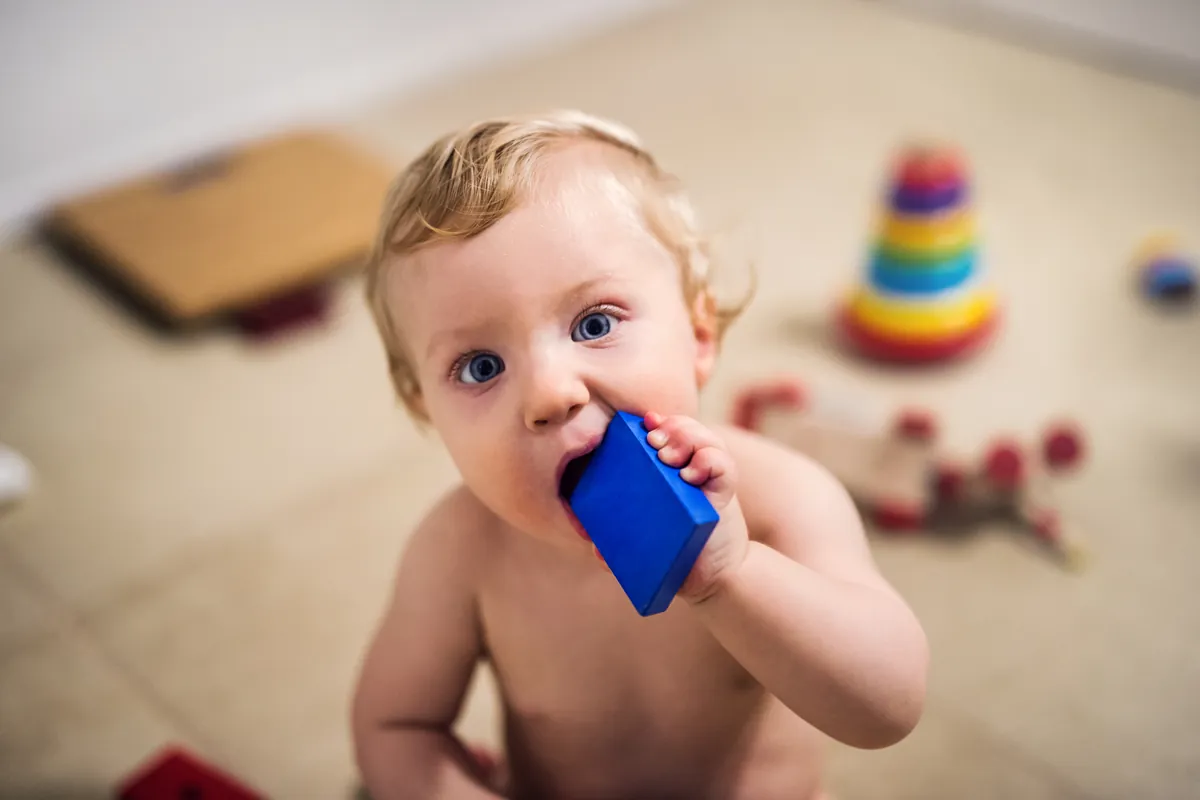 Por que meu bebê coloca tudo na boca?