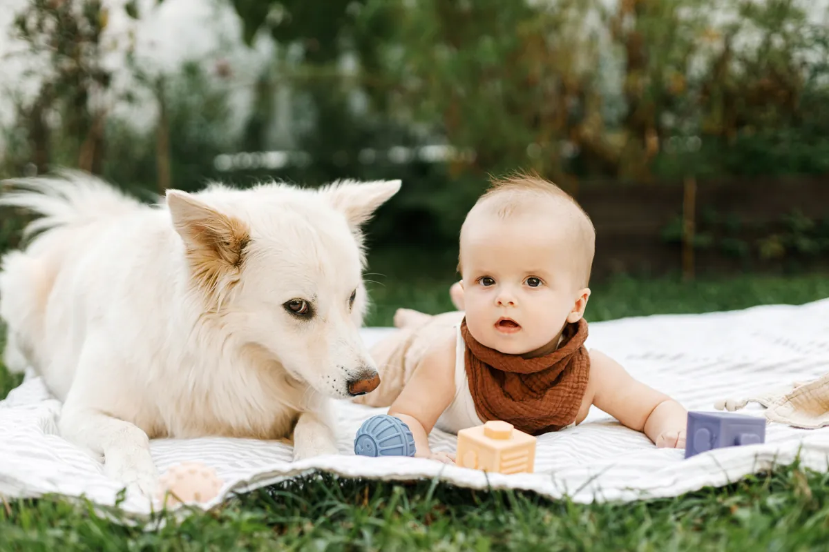 Ter um animal de estimação pode ter um efeito positivo na saúde das crianças?