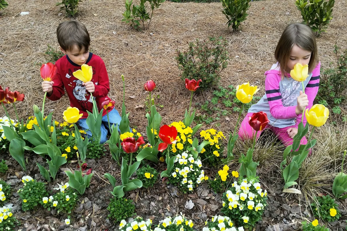 4 Actividades de Primavera para Niños de Preescolar