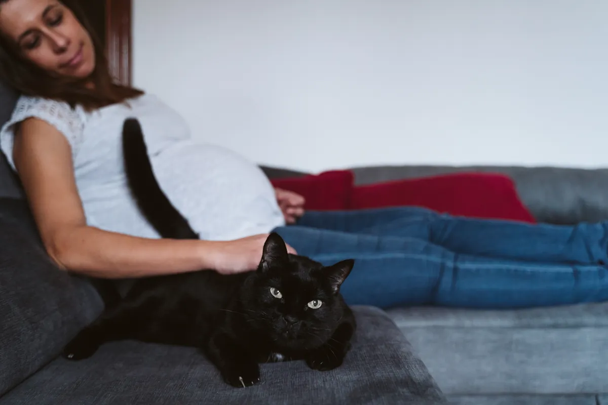 ¿Qué es la toxoplasmosis y cómo puedo prevenirla?