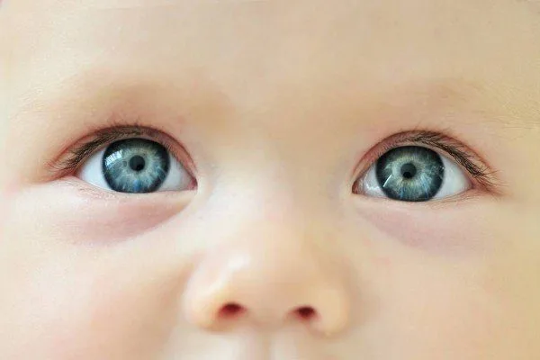 Nature vs. nurture: How to wire up the visual brain?
