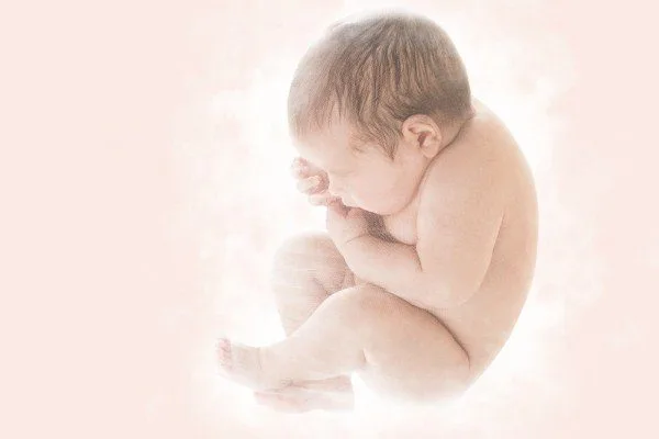 What is intrauterine growth and how does it happen?