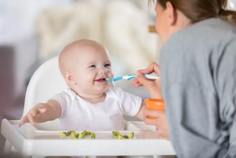 ¿Cuándo y cómo realizar la introducción de alimentos sólidos?