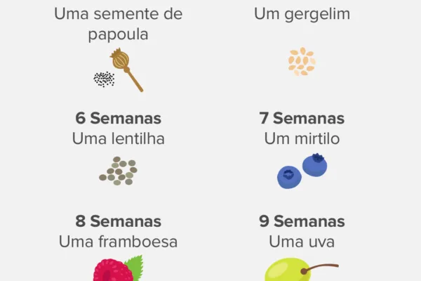 qual o tamanho do bebe na barriga